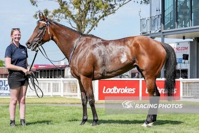 Yoomee Wonder's 2nd Career Win