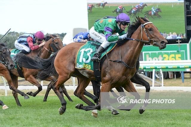 Our Pierro Wins Inglis Xtra Maiden