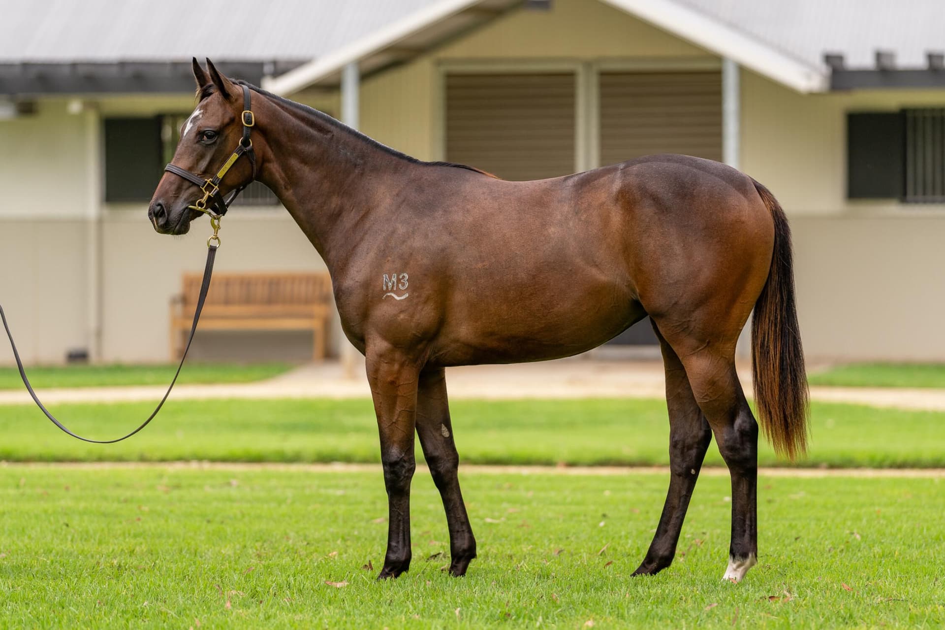 Revolutionary Girl/Captivant 23