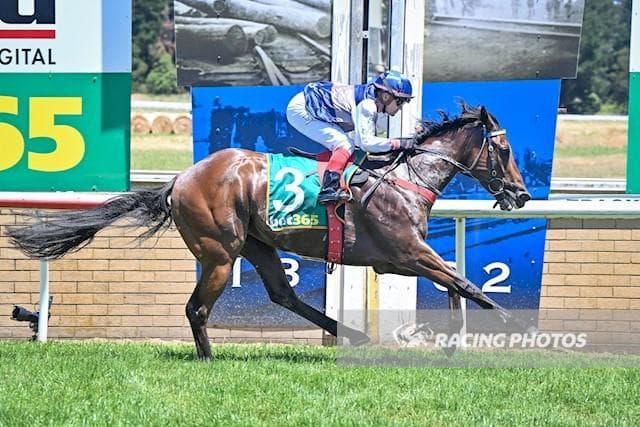 Yukaina Breaks Record on Debut