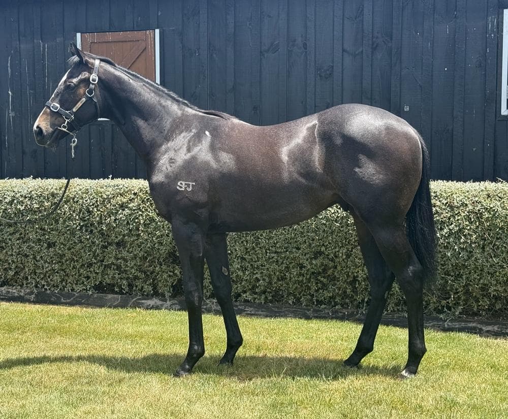 Agrapart/Hellbent 23