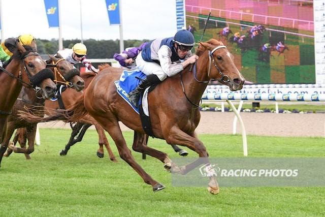 Divine Clementine Breaks Her Maiden