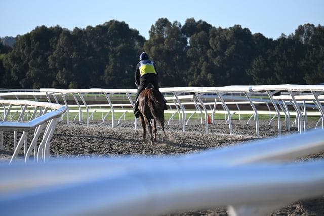 Gold Topaz Breaks His Maiden In Style