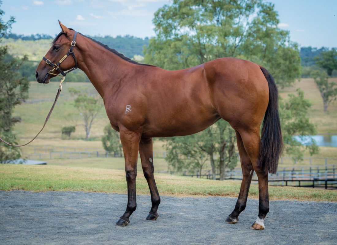Our Pierro