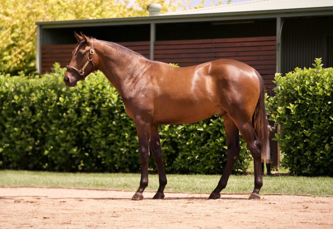 Shamus Award X Mirjulisa Lass